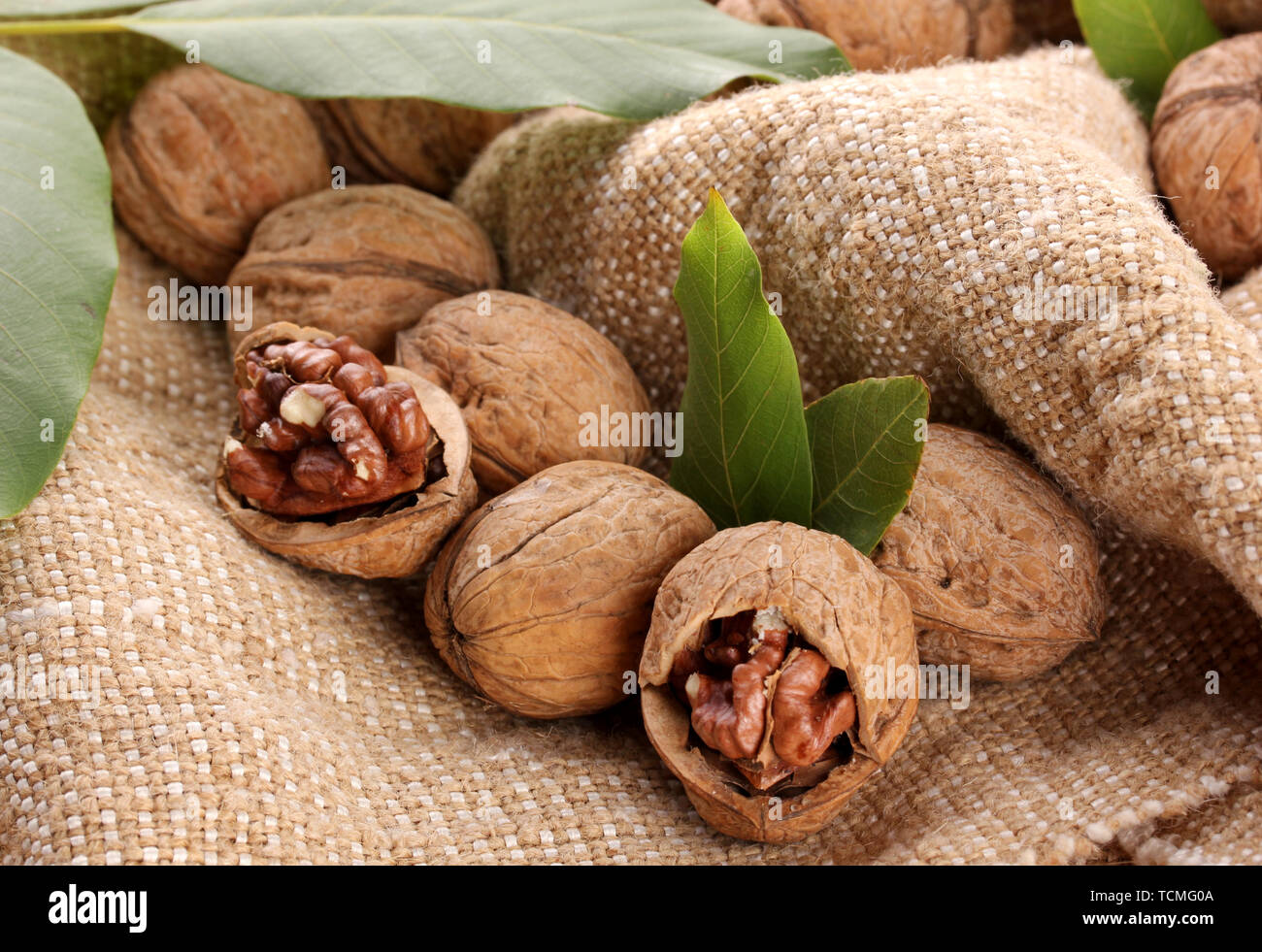walnuts with green leaves, on burlap background Stock Photo
