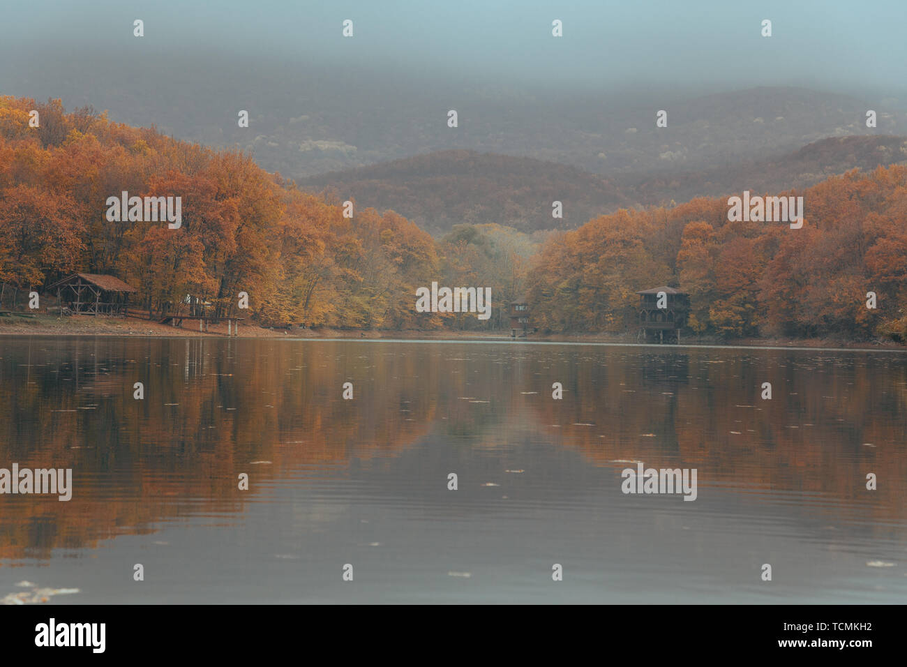 autumnal forest on the lake - morning fog Stock Photo - Alamy