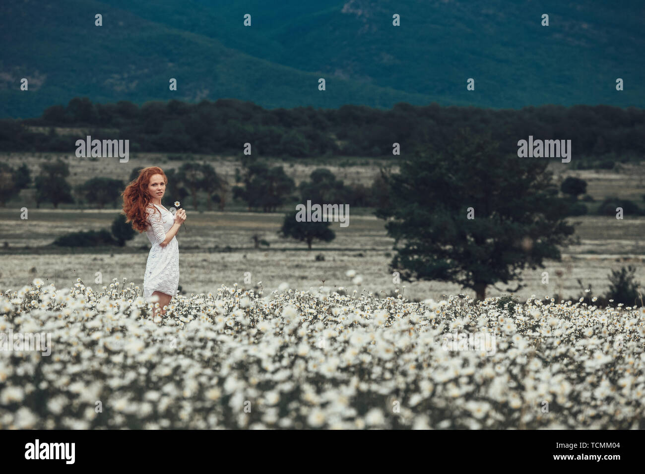 Beautiful young girl with curly red hair in chamomile field Stock Photo ...