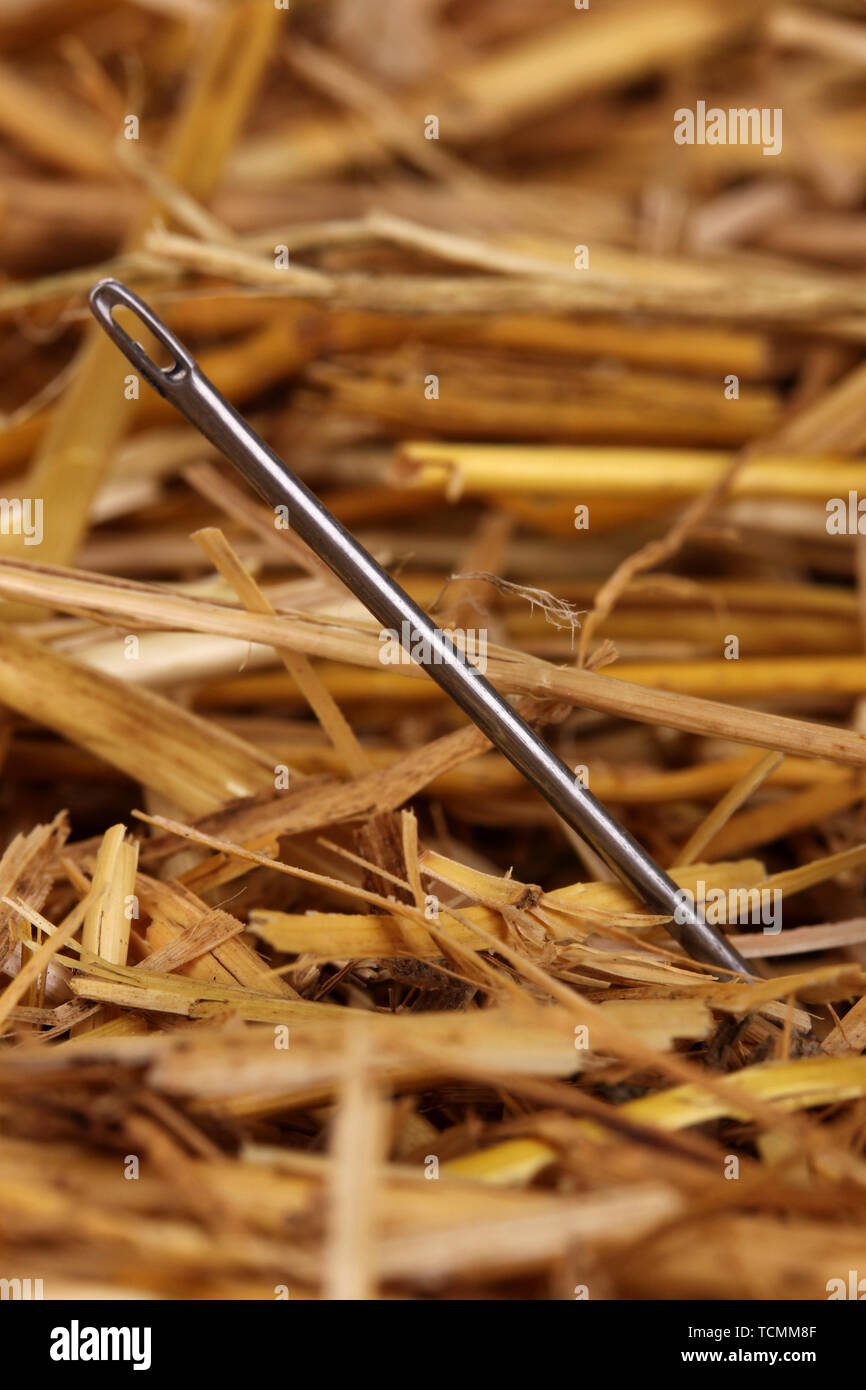 Needle in haystack metaphor hires stock photography and images Alamy