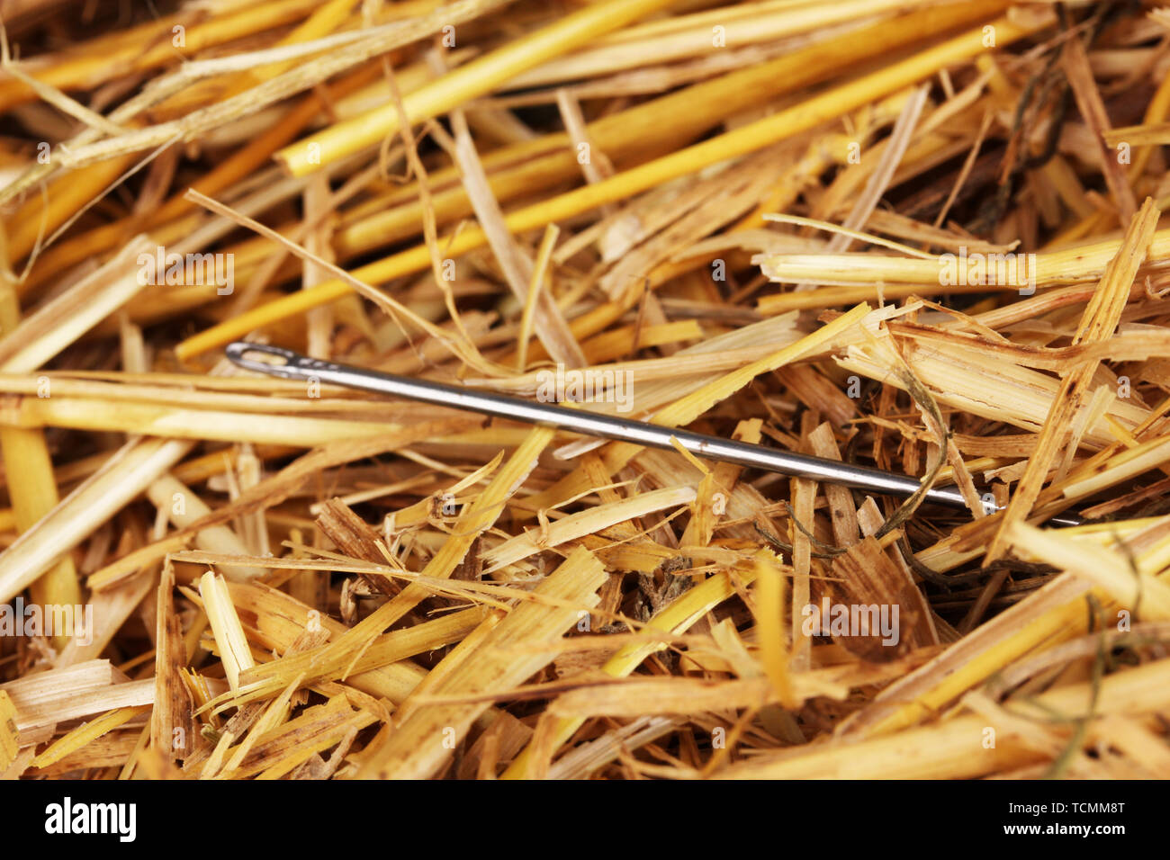 Needle in haystack metaphor hires stock photography and images Alamy