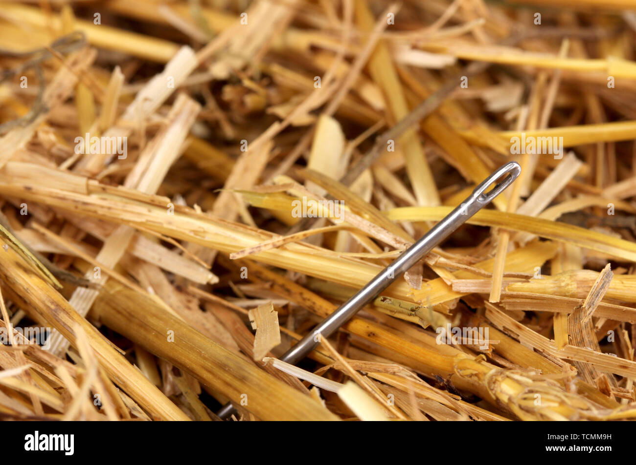 Needle in haystack metaphor hi-res stock photography and images - Alamy