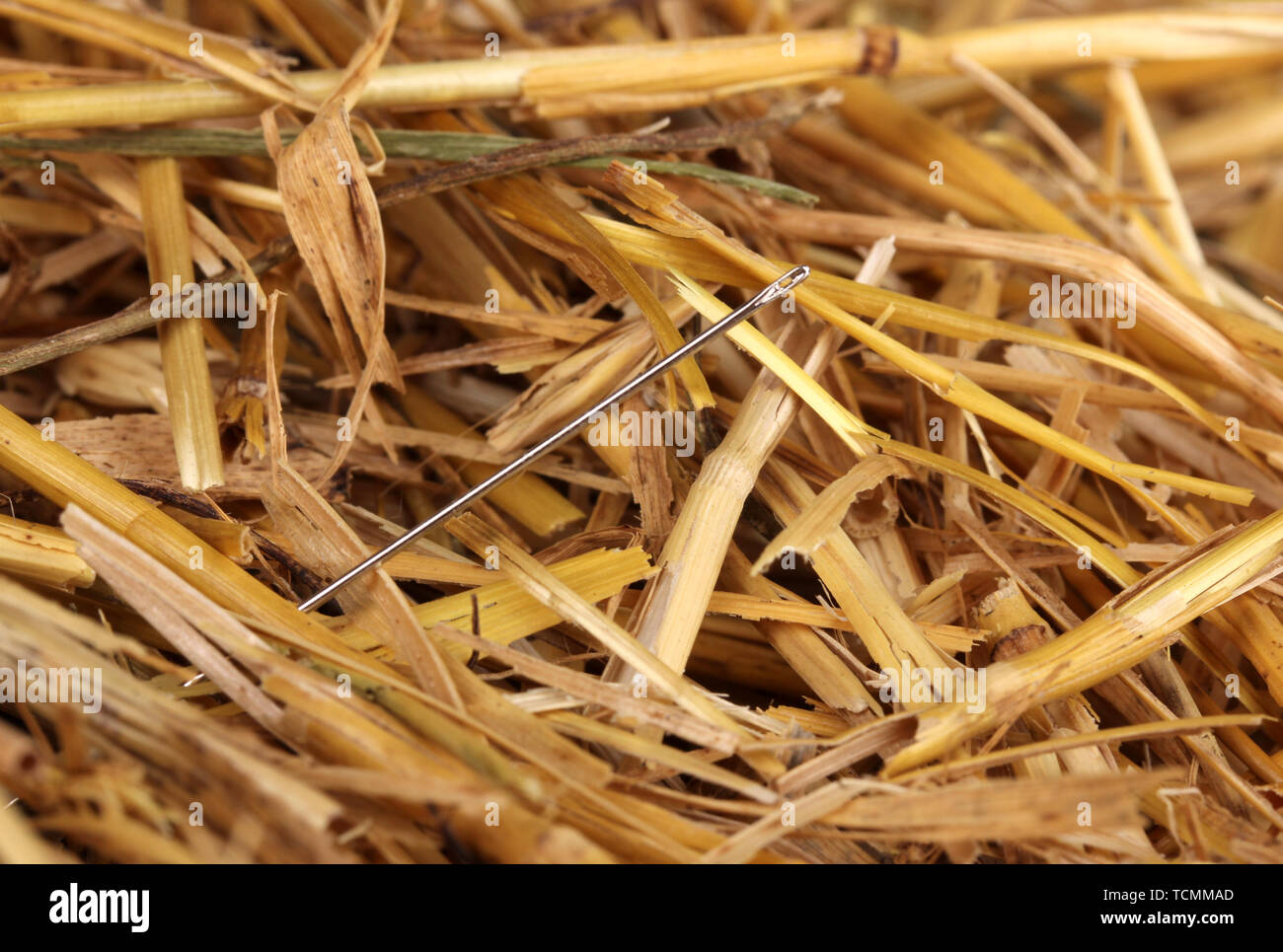Needle In A Haystack High Resolution Stock Photography and Images Alamy