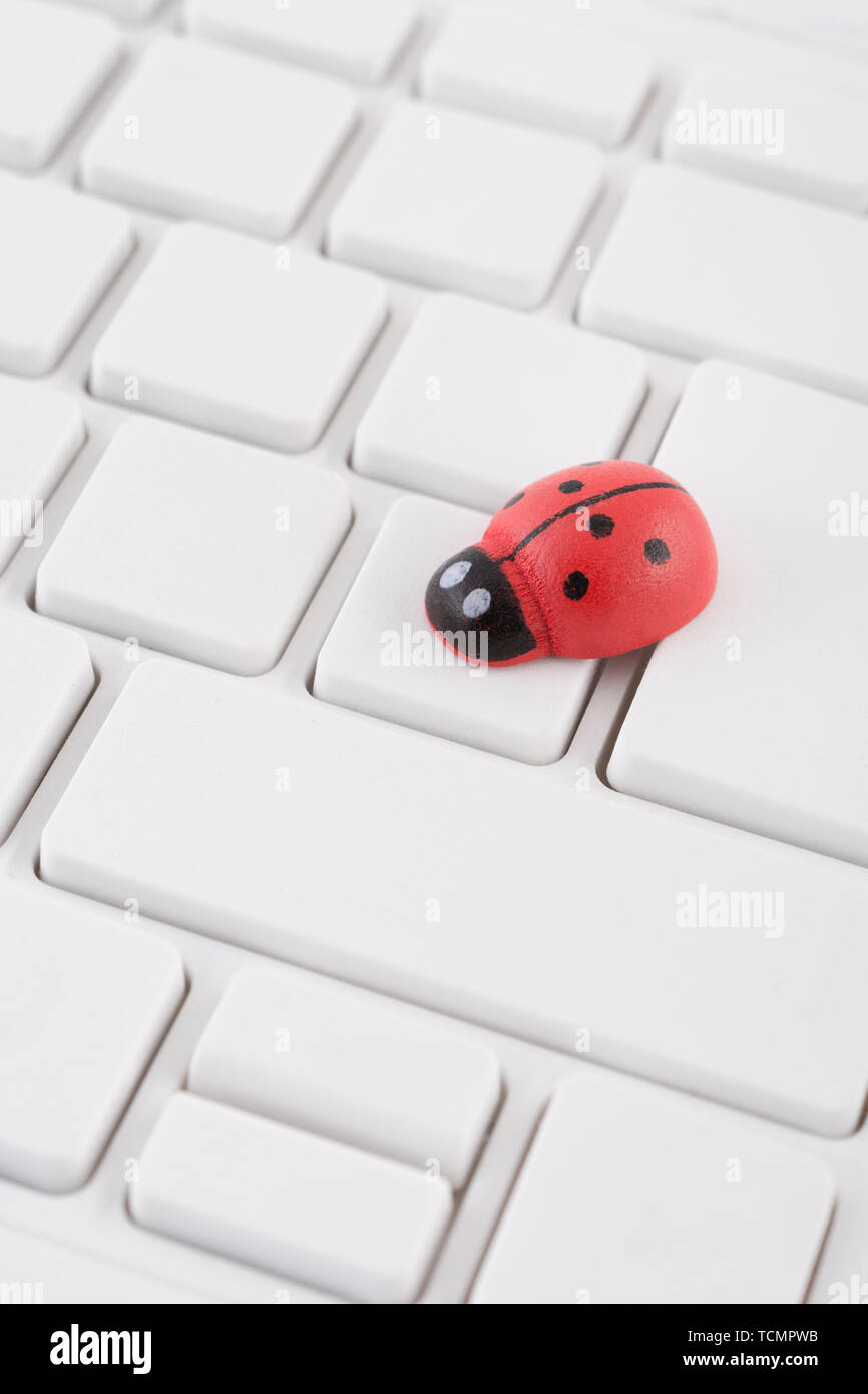 Ladybirds / ladybugs on blank white Qwerty PC keyboard - visual metaphor  for concept of computer bug, or viral / system 'infection', computer  gremlins Stock Photo - Alamy