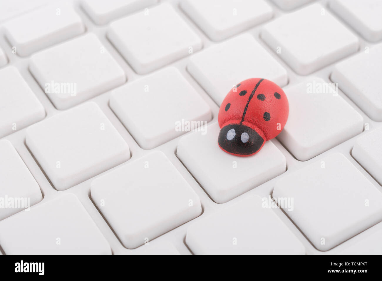 Ladybirds / ladybugs on blank white Qwerty PC keyboard - visual metaphor for concept of computer bug, or viral / system 'infection', computer gremlins Stock Photo