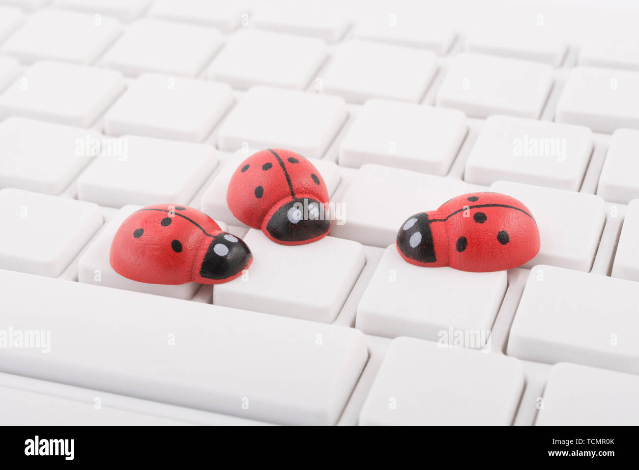 Ladybirds / ladybugs on blank white Qwerty PC keyboard - visual metaphor for concept of computer bug, or viral / system 'infection', computer gremlins Stock Photo