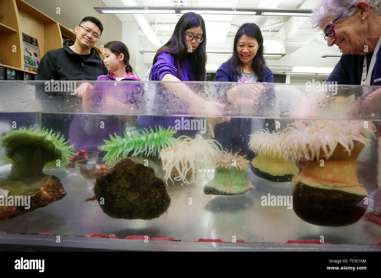 Vancouver, Canada. 8th June, 2019. People view living corals in the