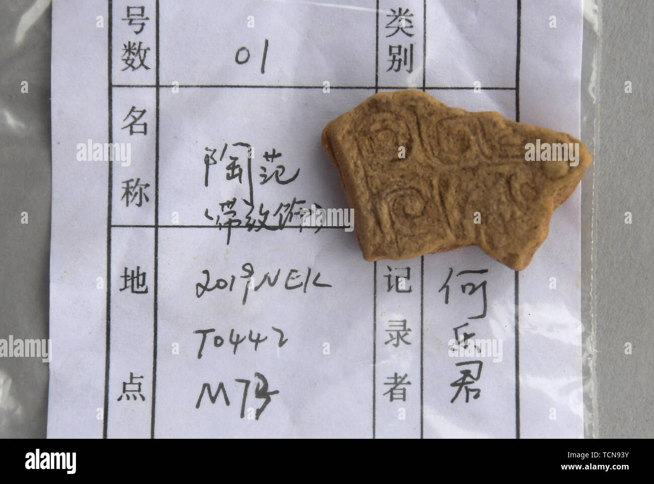 Anyang, China's Henan Province. 5th June, 2019. A relic unearthed from the family tomb of bronzeware artisans of the Shang Dynasty is displayed in Anyang, central China's Henan Province, June 5, 2019. Archaeologists in central China's Henan Province said they have identified 42 tombs unearthed since 2017 to be a family tomb of bronzeware artisans dating back over 3,000 years. To Go With 'Family tomb of ancient bronzeware artisans identified in Central China' Credit: Li An/Xinhua/Alamy Live News Stock Photo