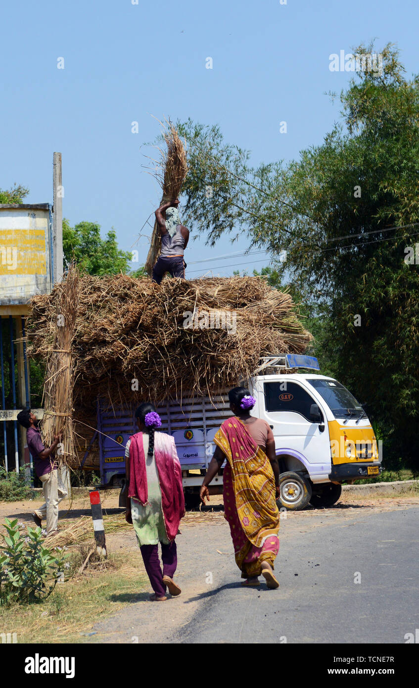 Rural scene tamil nadu india hi-res stock photography and images - Alamy