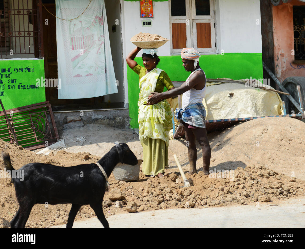 A Tamil man loading a heavy basket of sand on a woman worker's head. Stock Photo