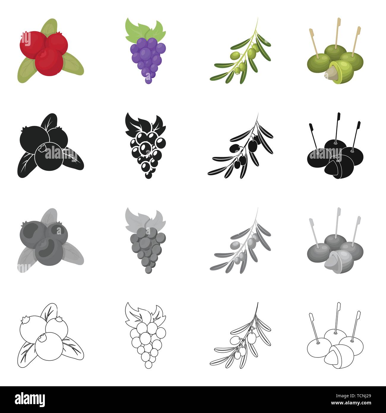 Vector design of berry and fruit sign. Collection of berry and redberry ...