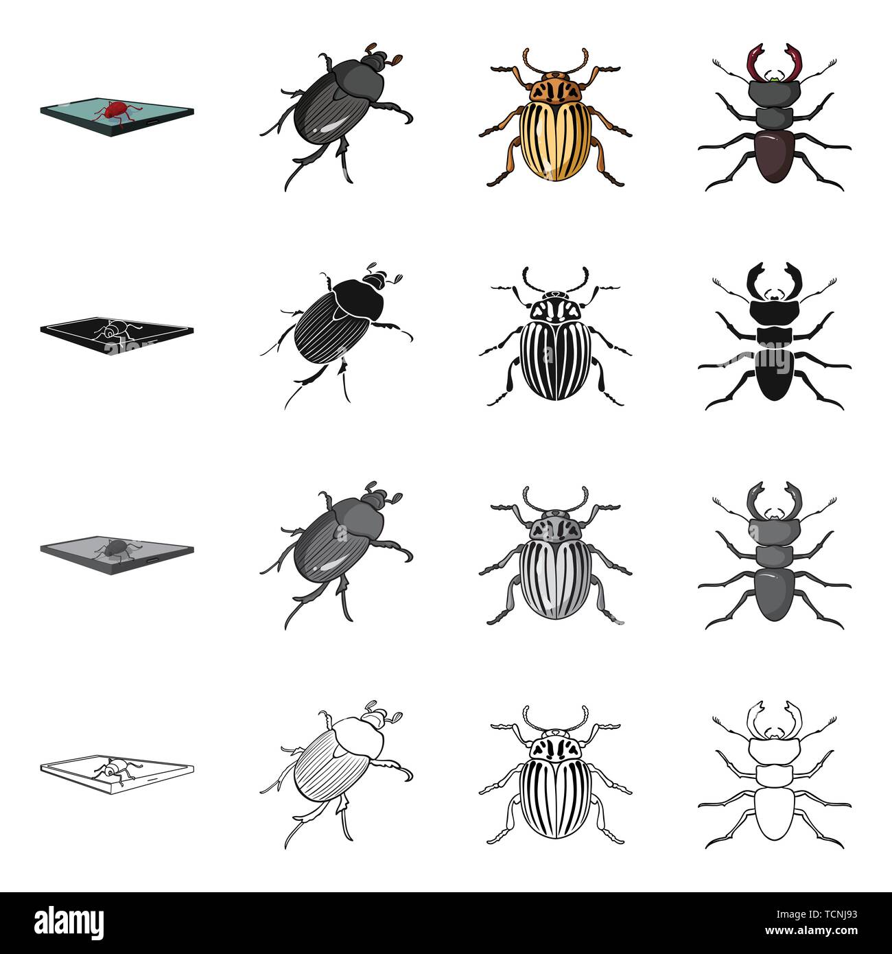Vector illustration of insect and beetle icon. Set of insect and ...