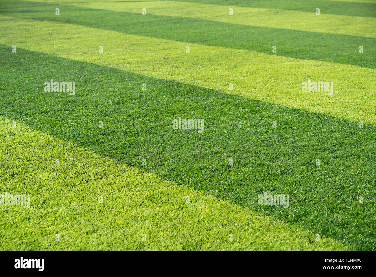 Football field texture hi-res stock photography and images - Alamy