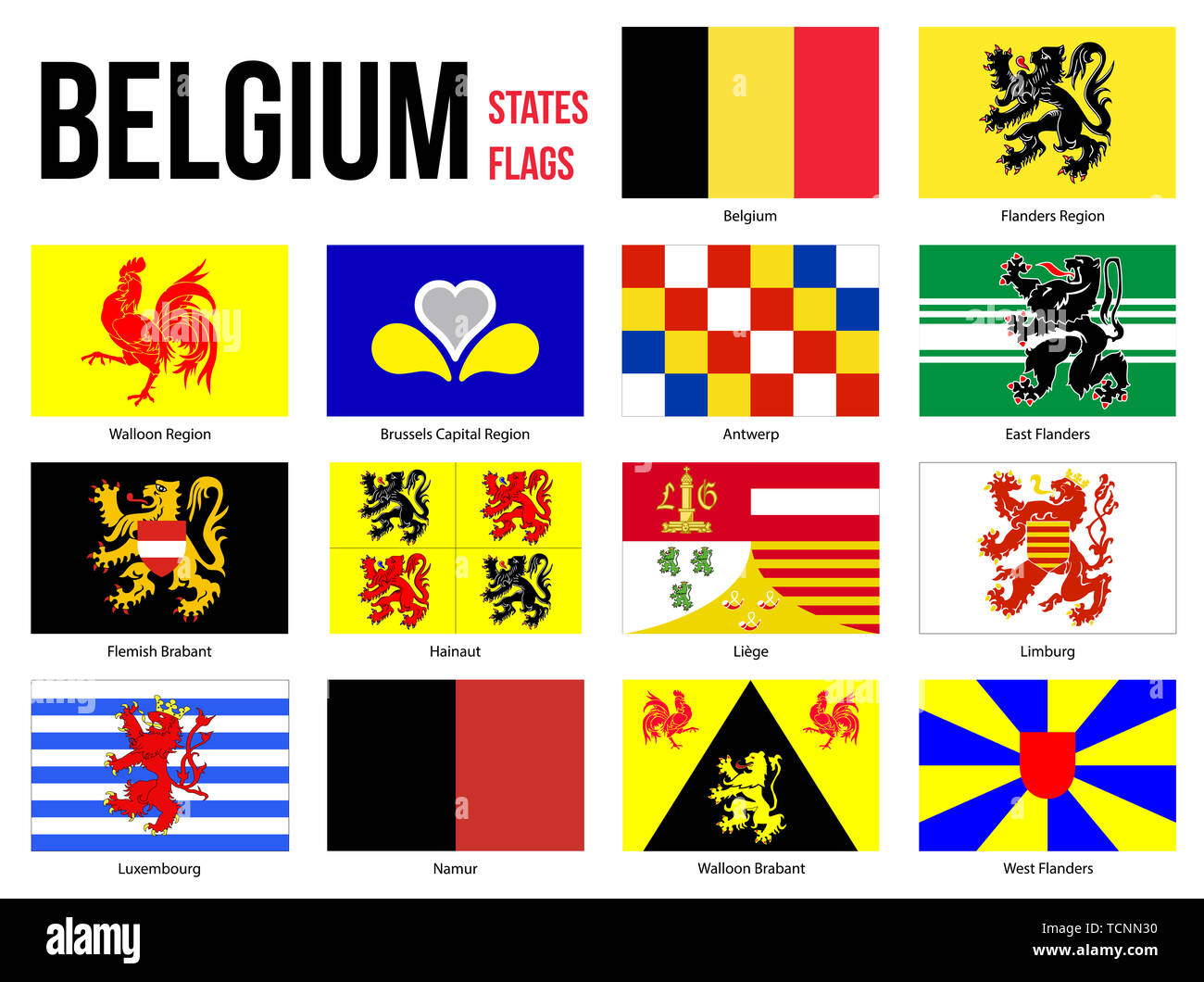 Belgium All Region & Provinces Flag Vector Illustration on White Background. Flags of Belgium. Correct Size, Proportion and Colors. Stock Photo