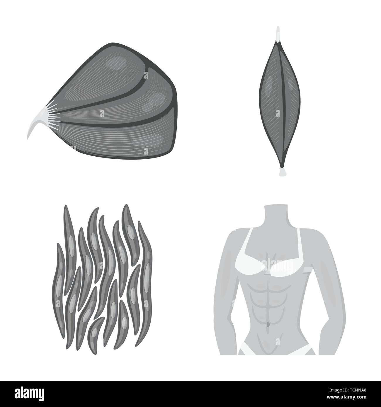 Vector illustration of human and body logo. Set of human and cells ...