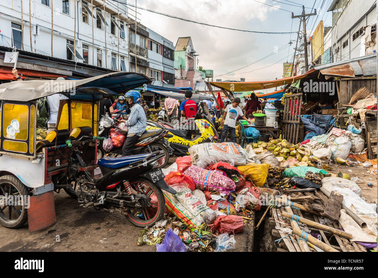 single wheel bicycle trailer