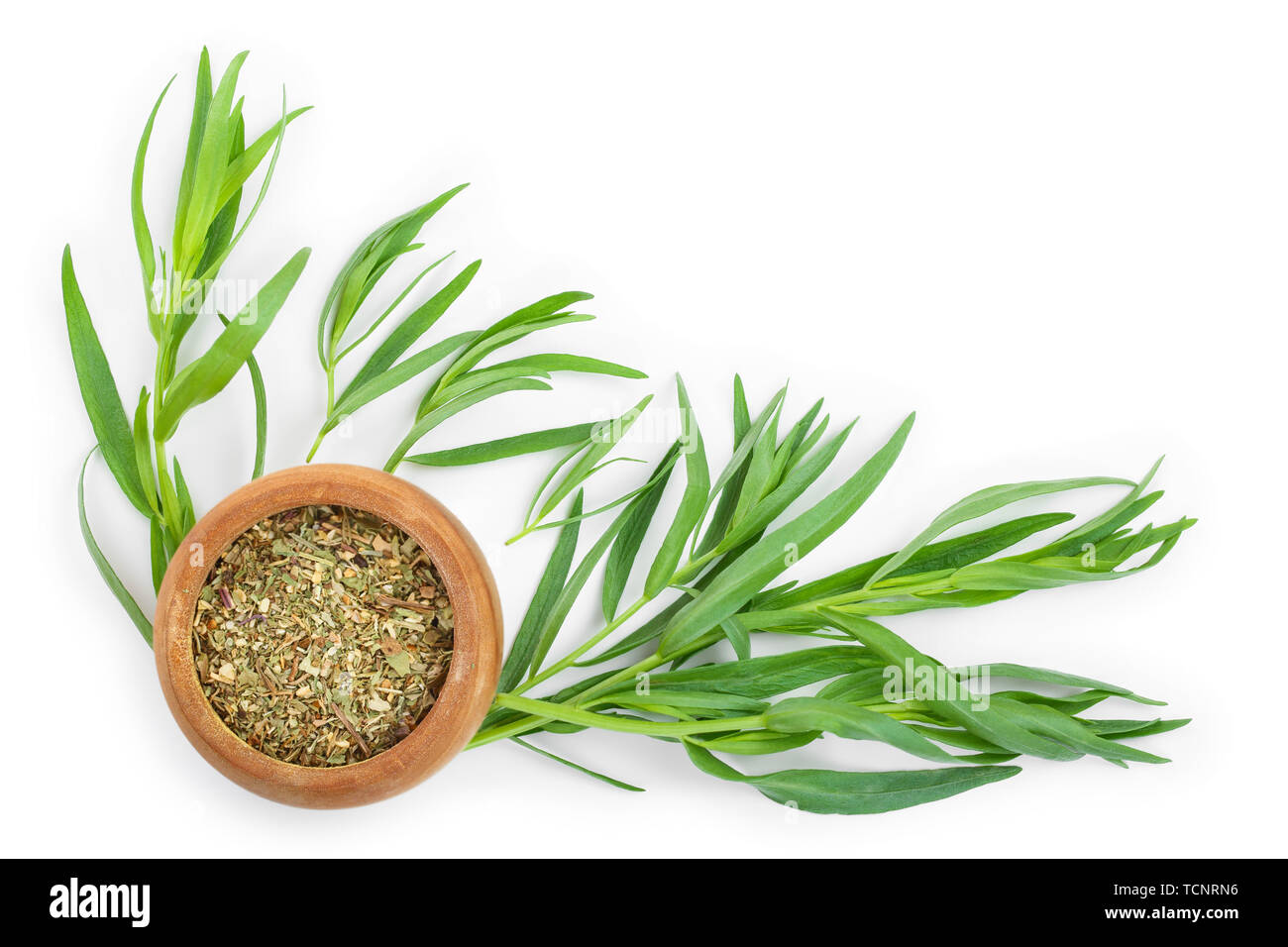 tarragon or estragon fresh and dried isolated on a white background