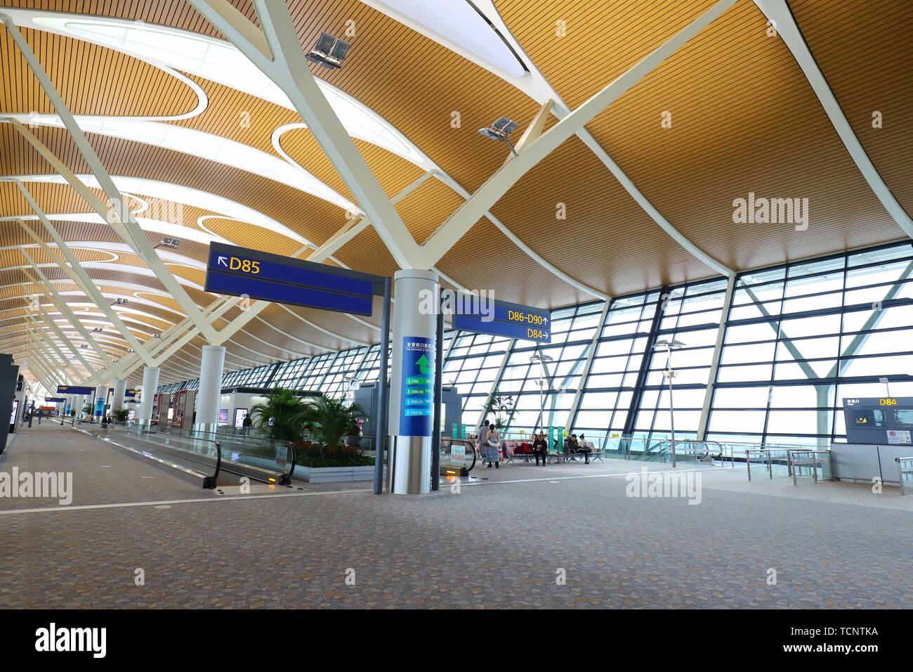Shanghai pudong airport hall hi-res stock photography and images - Alamy