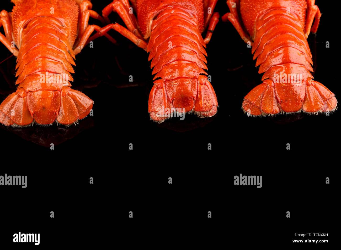 crayfish tailes isolated on black Stock Photo