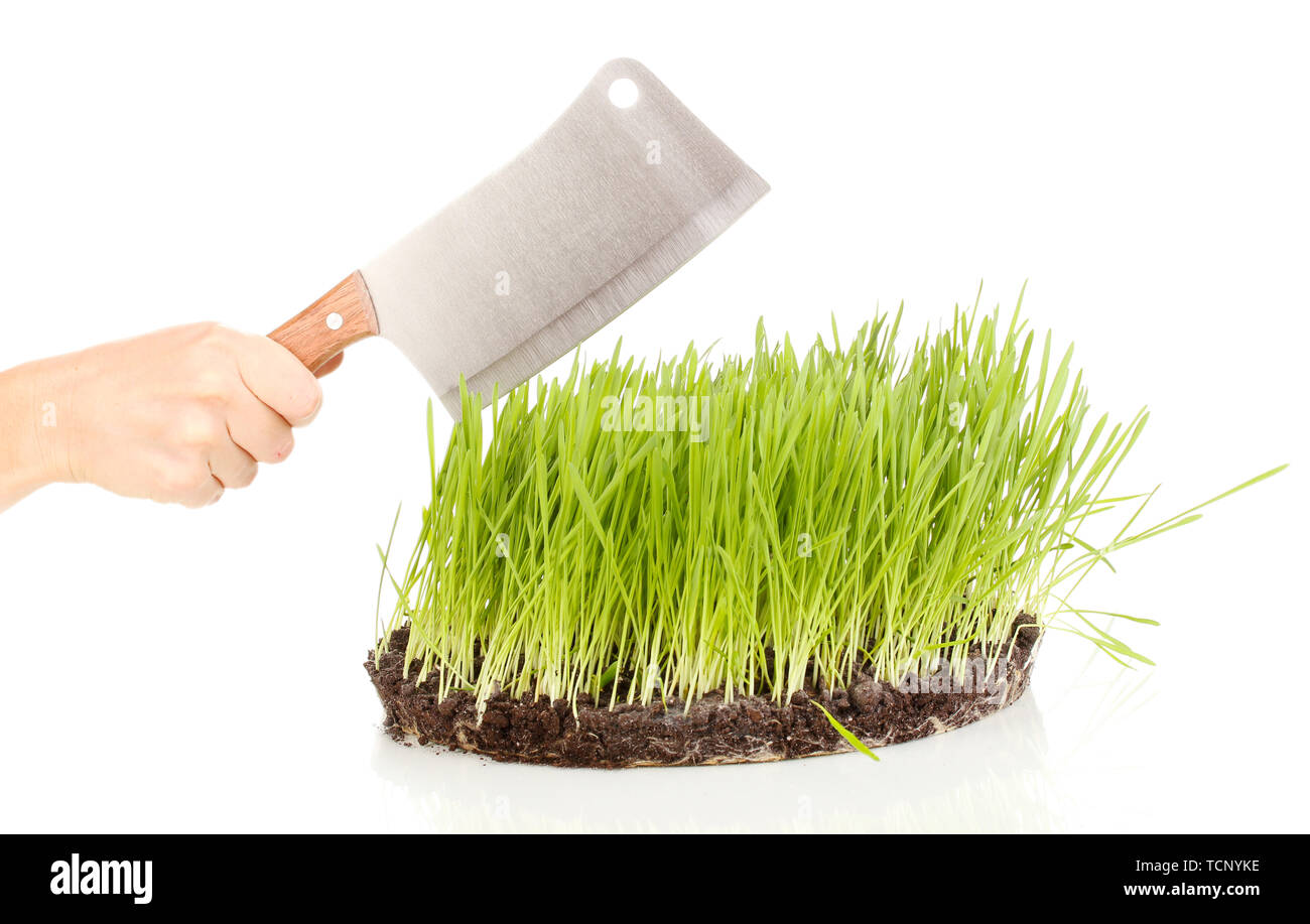 Green grass with ground as concept of land sale isolated on white Stock Photo