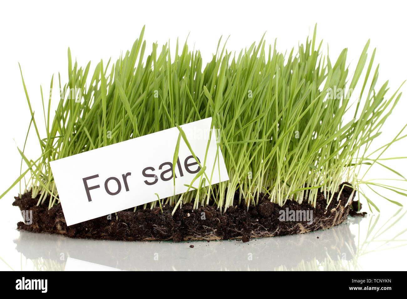 Green grass with ground as concept of land sale isolated on white Stock Photo