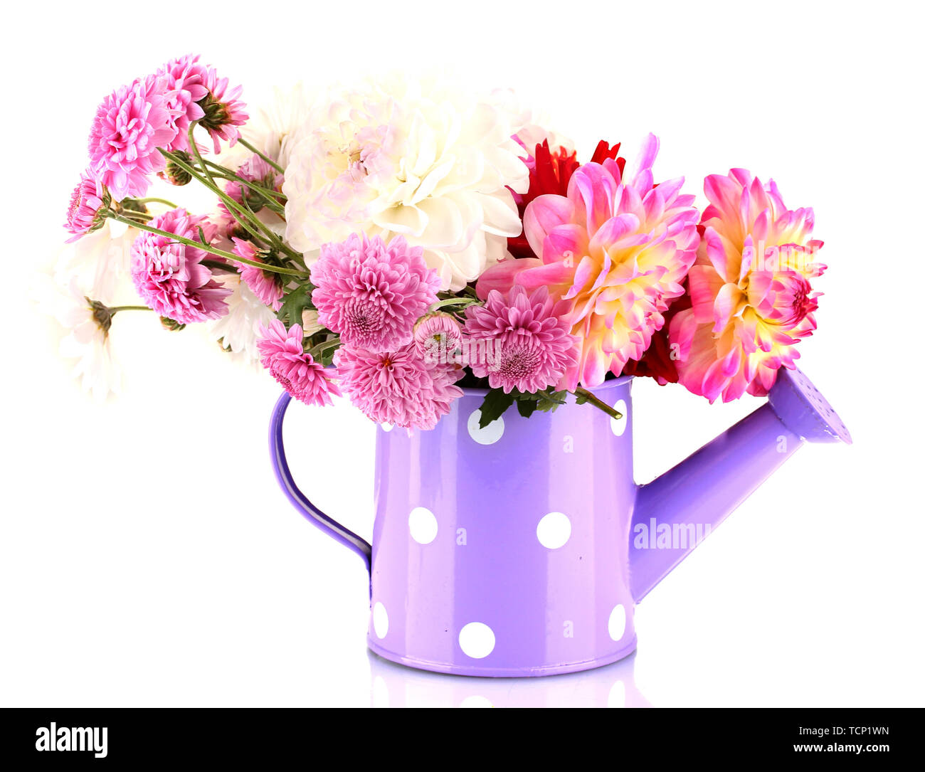 daisies and dahilas in vase isolated on white Stock Photo - Alamy