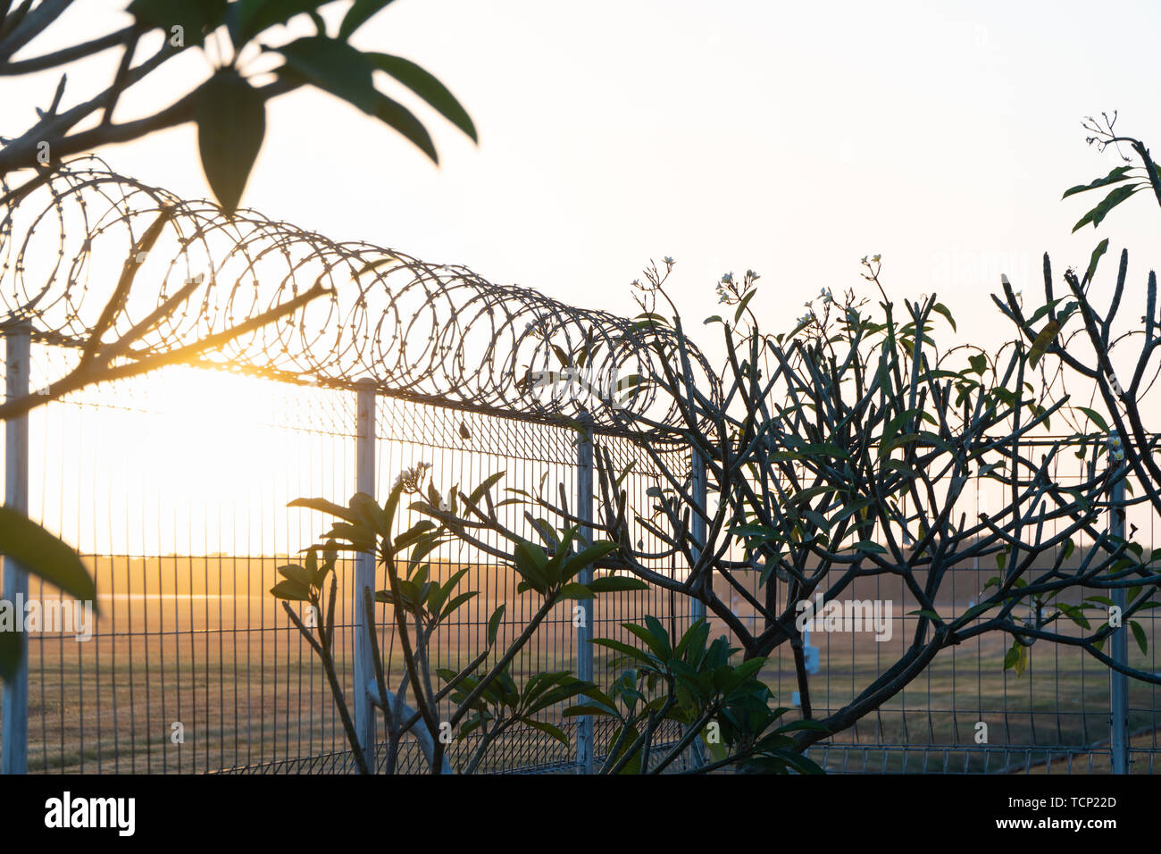 Sunrise in the morning in a place surrounded by barbed guardrails and small tree. A jail or prison concept Stock Photo