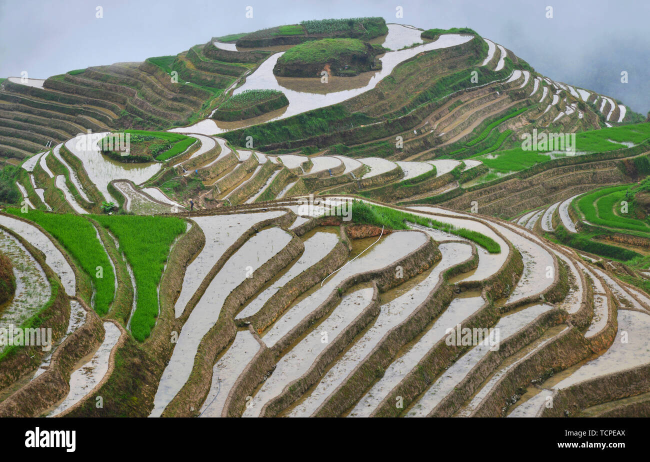 Guangxi dragon ridge terraces beautiful world Stock Photo - Alamy