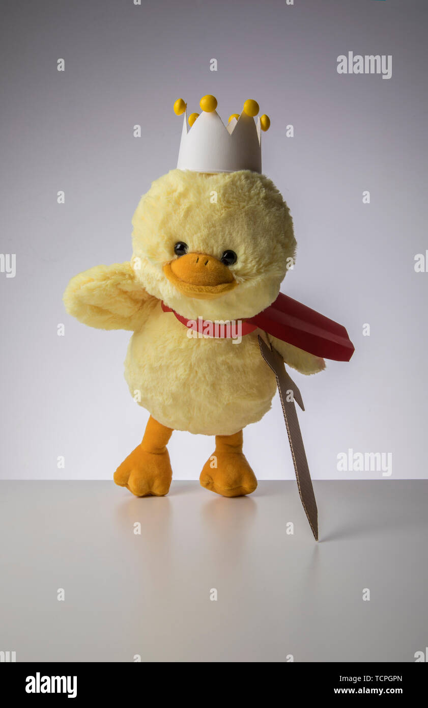 Duck king Stock Photo