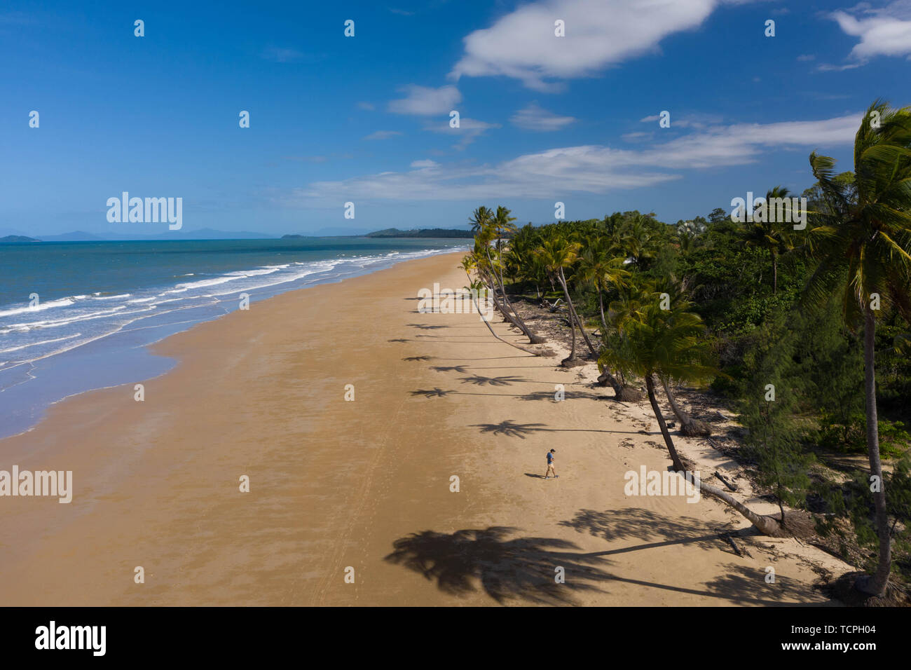 Aerial top view of beach with white sand, beautiful palm trees and warm ...