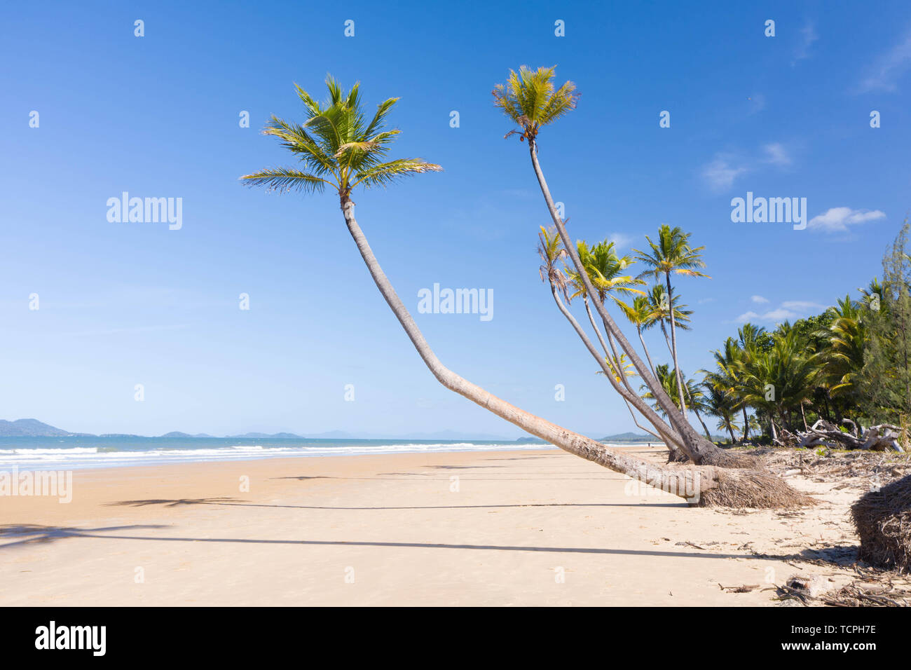 Drone beach palm trees hi-res stock photography and images - Alamy