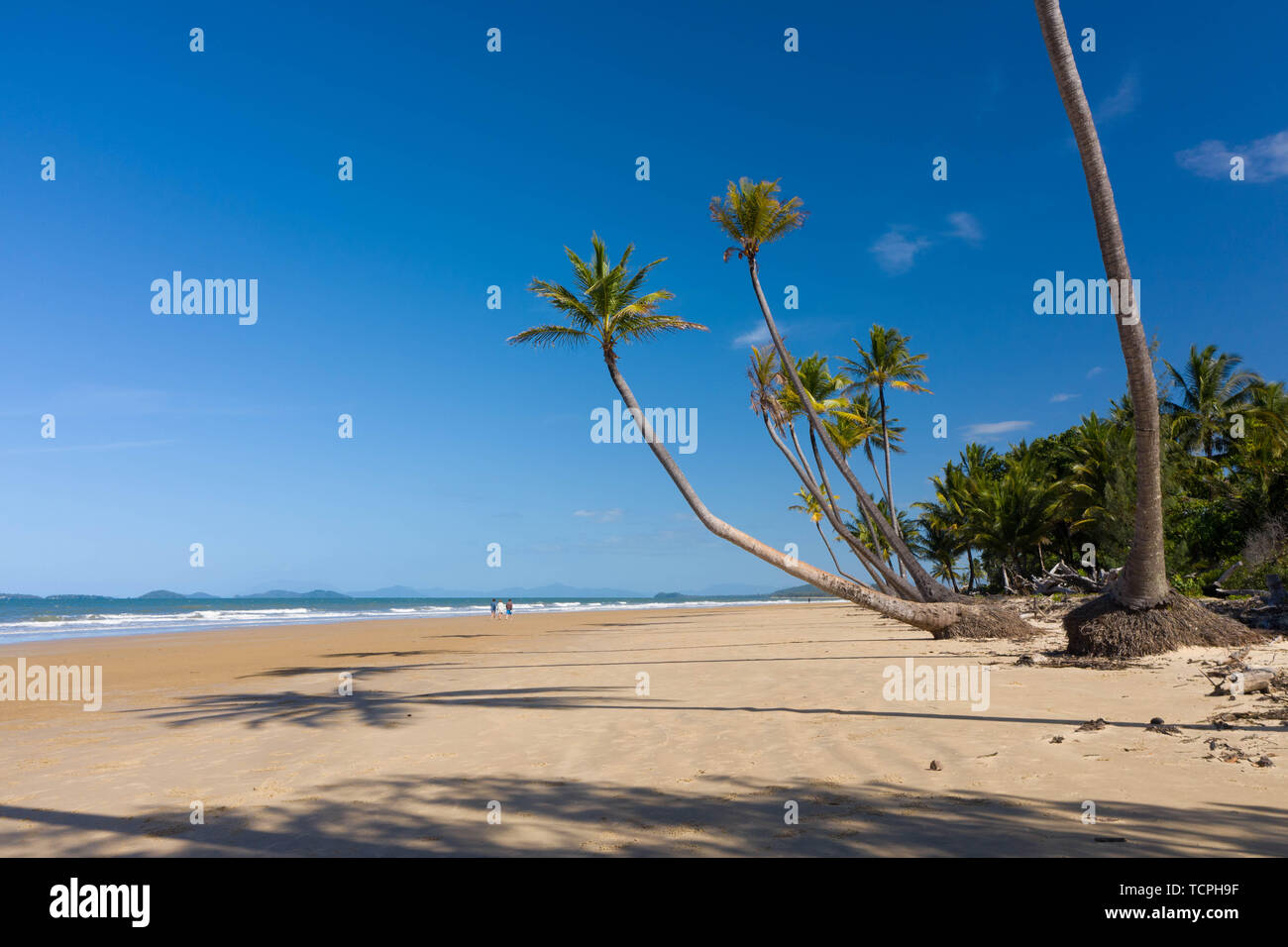 Aerial top view of beach with white sand, beautiful palm trees and warm ...