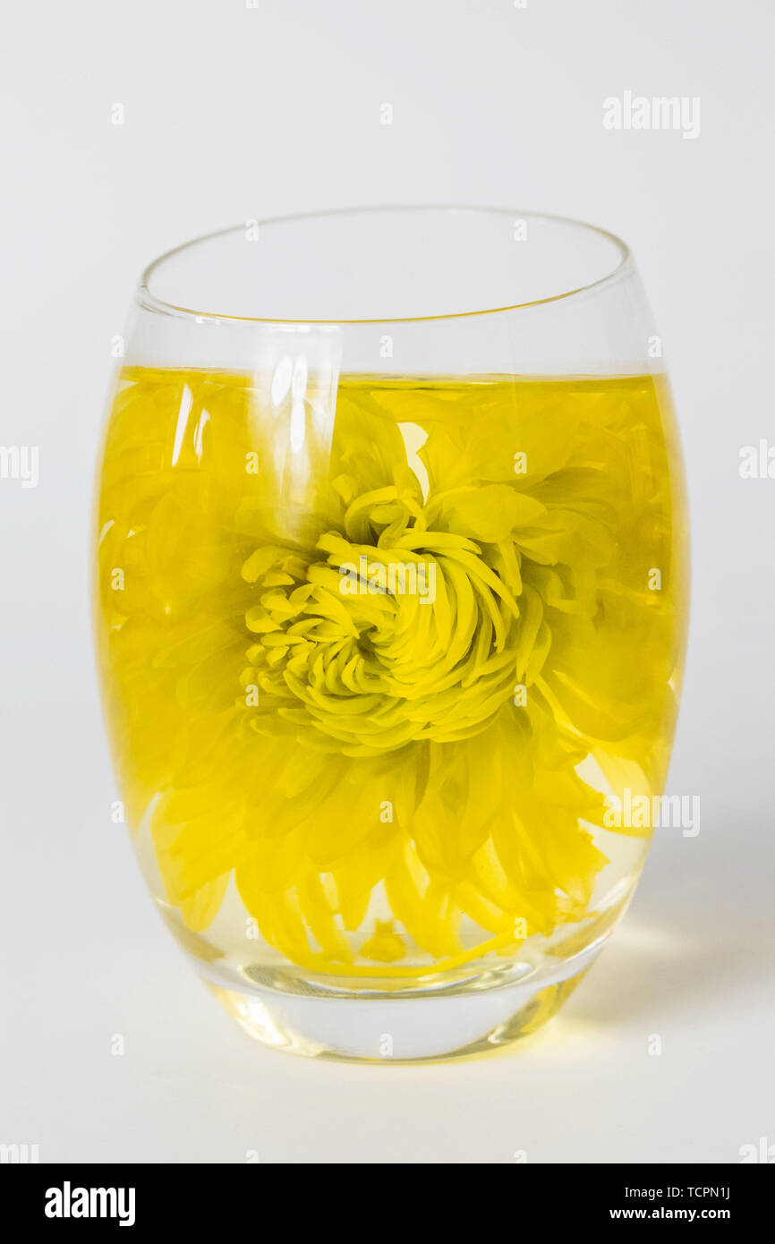 Fire tea, chrysanthemum tea Stock Photo - Alamy