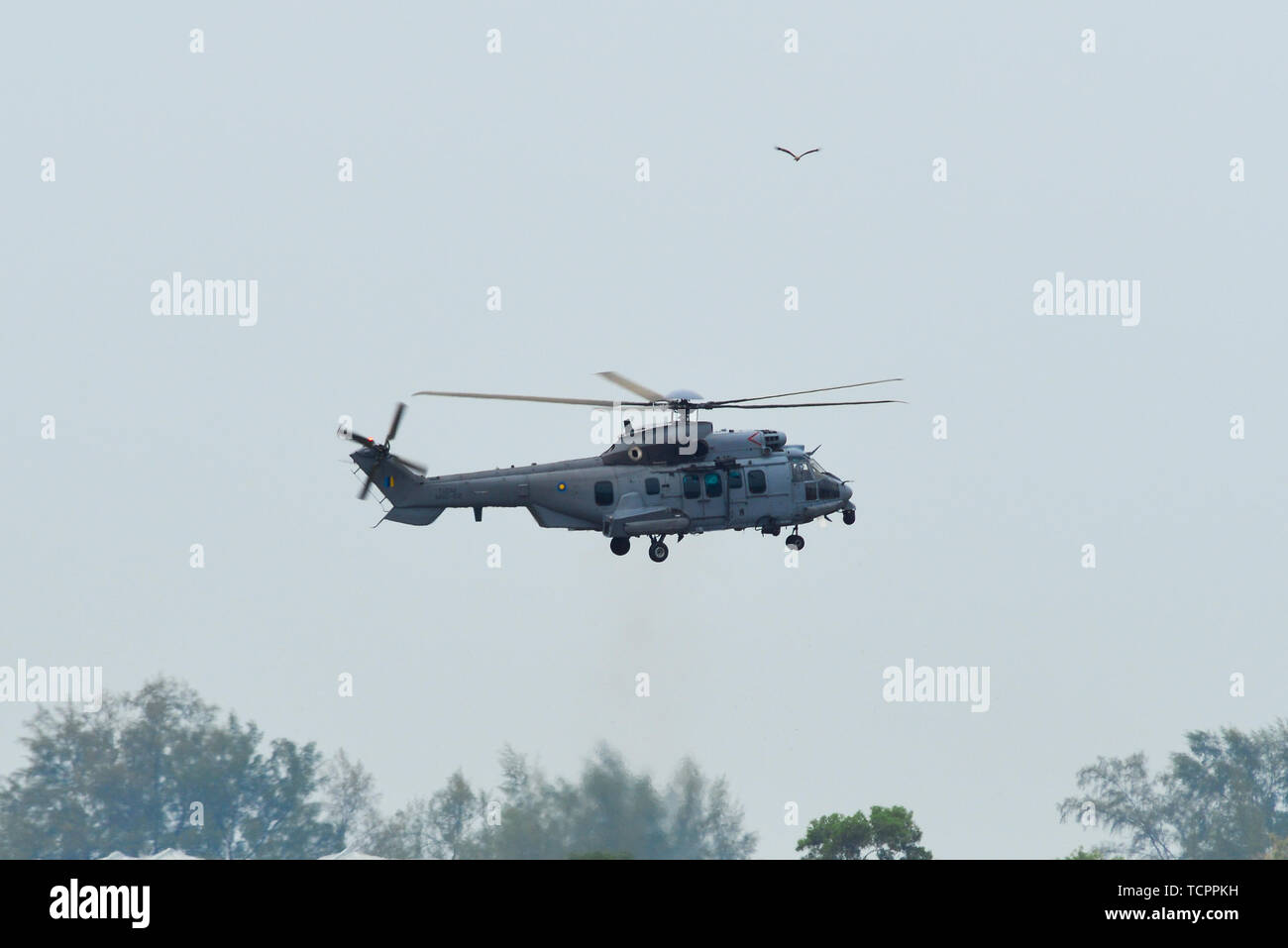 Langkawi, Malaysia - Mar 31, 2019. M55-02 Eurocopter EC725 Caracal ...