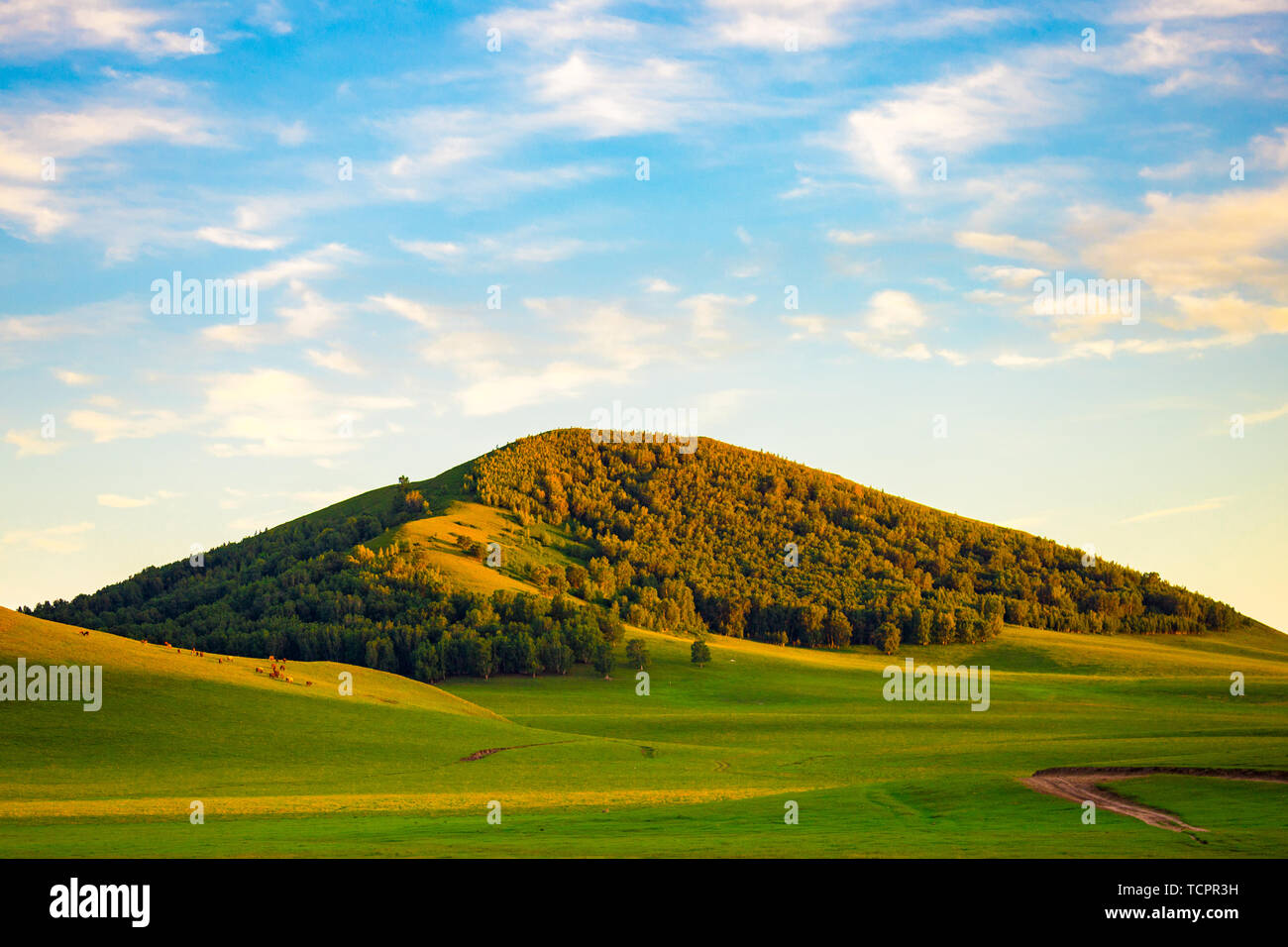 Landscape with no one in the sky. Outdoor tourism. Nature, daylight and lawn farm in autumn. Agriculture light in summer, hills and prairie farms. Comfortable weather. farmland trees. Color Stock Photo