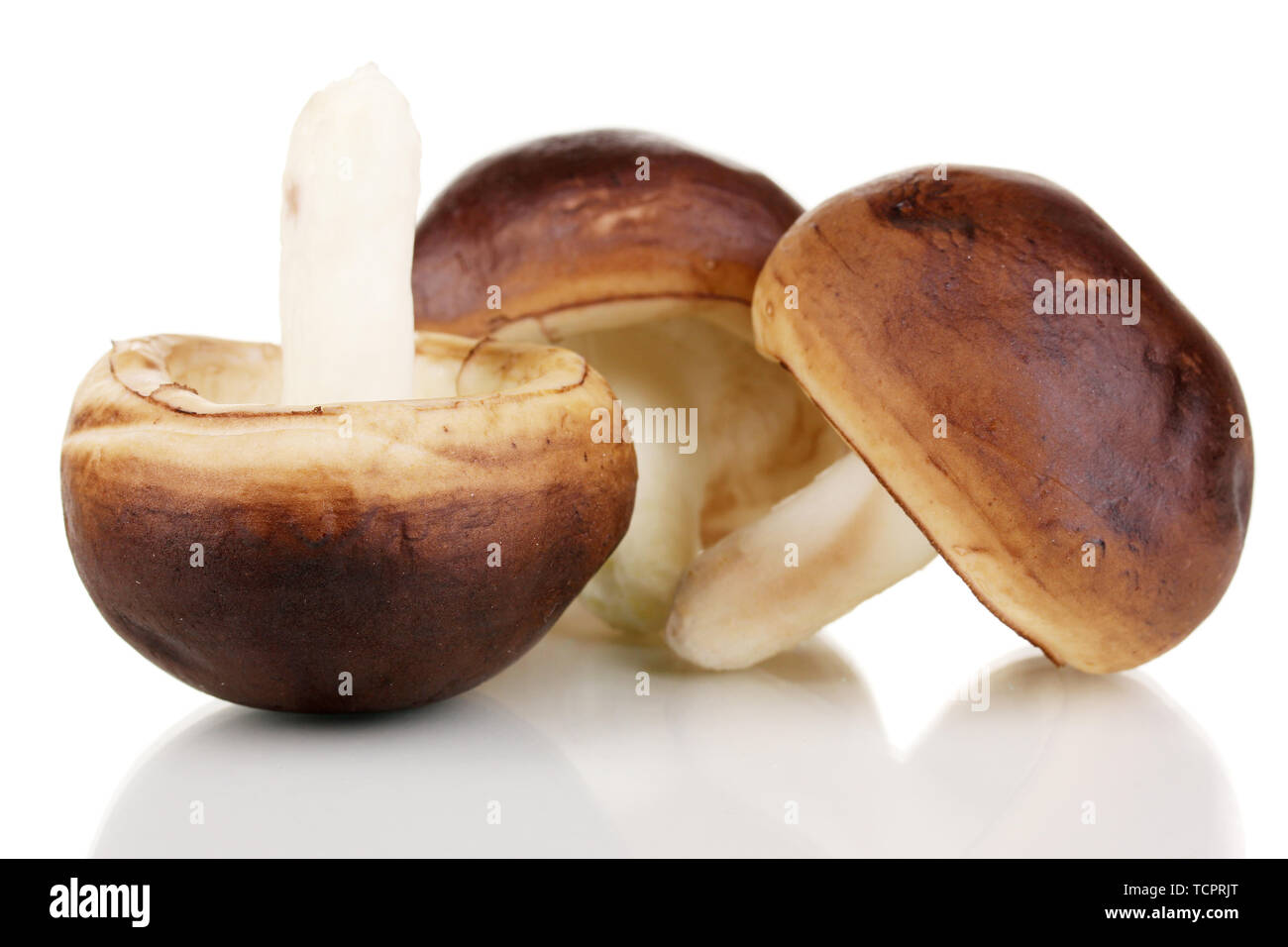 Fresh mushrooms isolated on white Stock Photo - Alamy