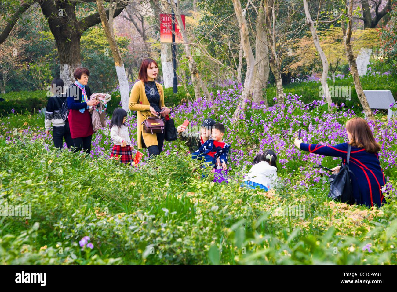Nanjing Yuhuatai martyrs cemetery tea garden scenery. Stock Photo