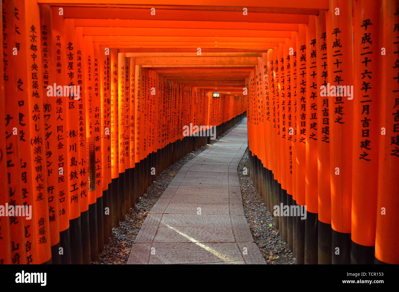 Page 3 - Shinto Shrine Pillar High Resolution Stock Photography