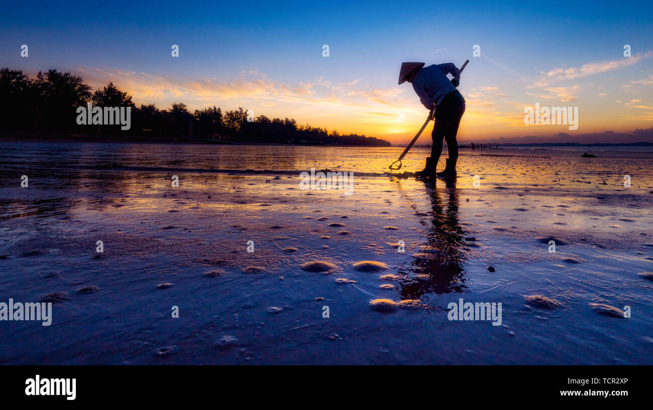 As the tide recedes, fishermen pick up shells on the beach in the sea. Photographed in Jintan