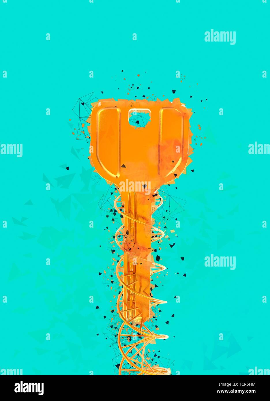 Yellow key, illustration Stock Photo