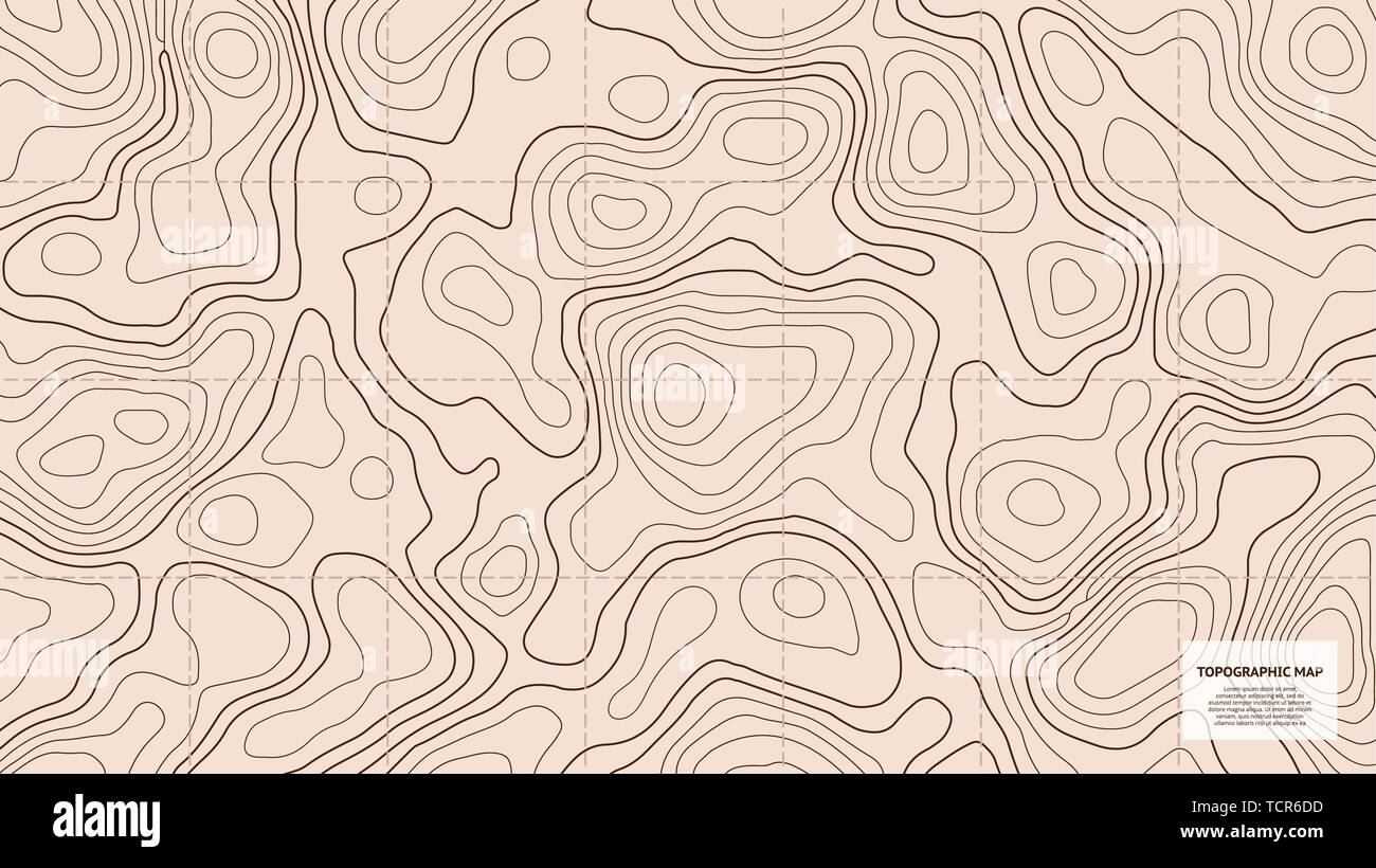 Topographic world map. Geographic contour grid Stock Vector Image & Art