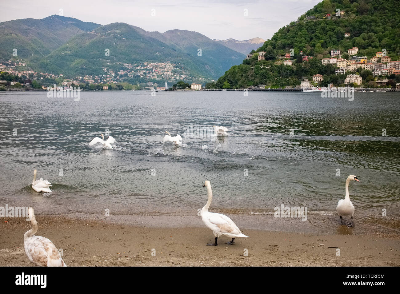 Onno, by lake Como, Lombardy, Italy Stock Photo - Alamy