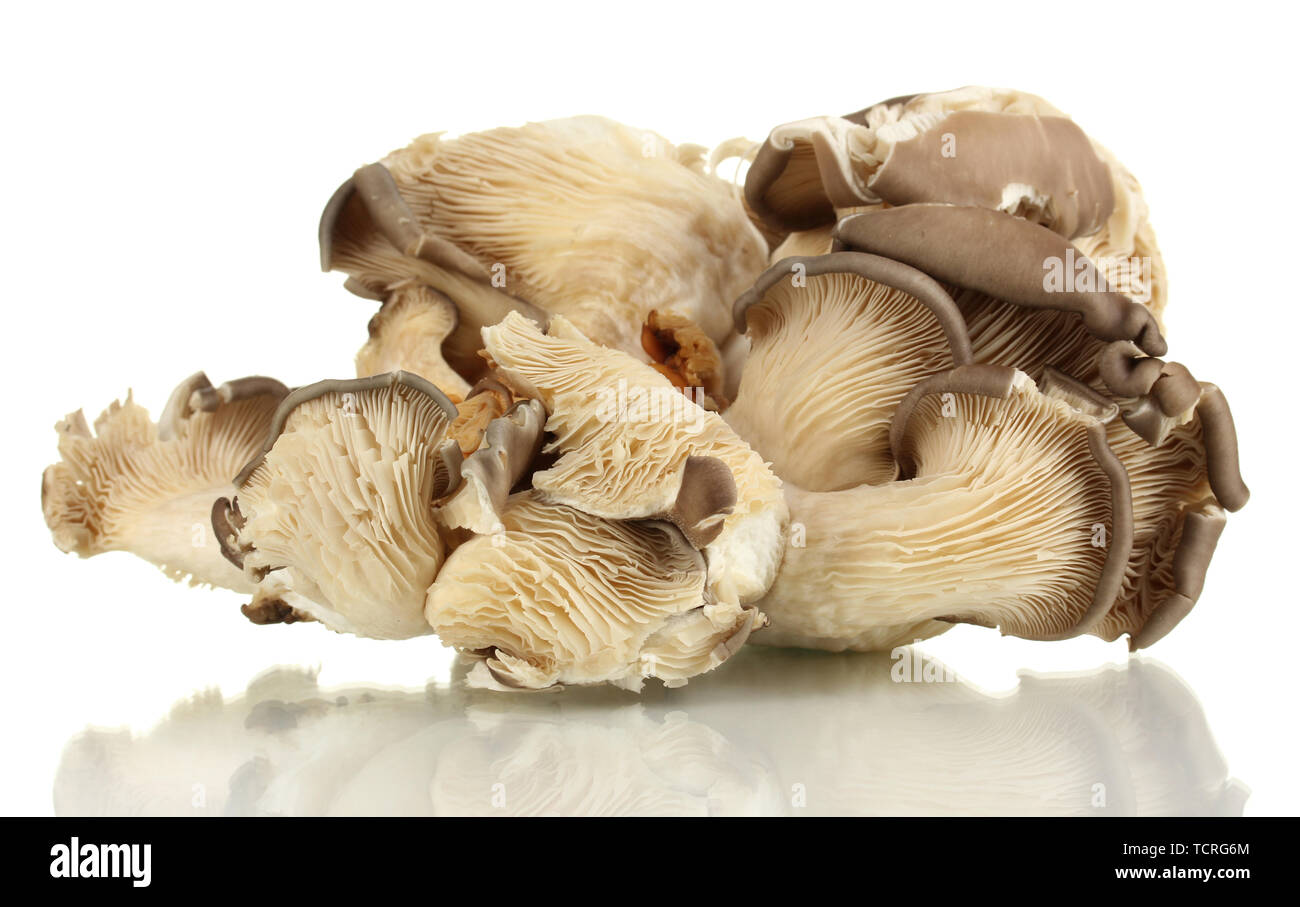Fresh mushrooms isolated on white Stock Photo - Alamy