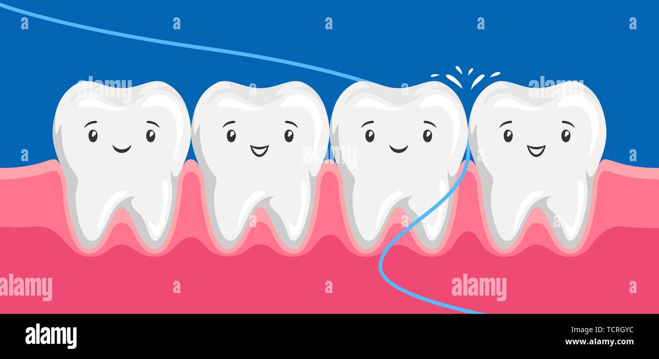 Illustration of smiling are flossing in oral cavity Stock Vector Image