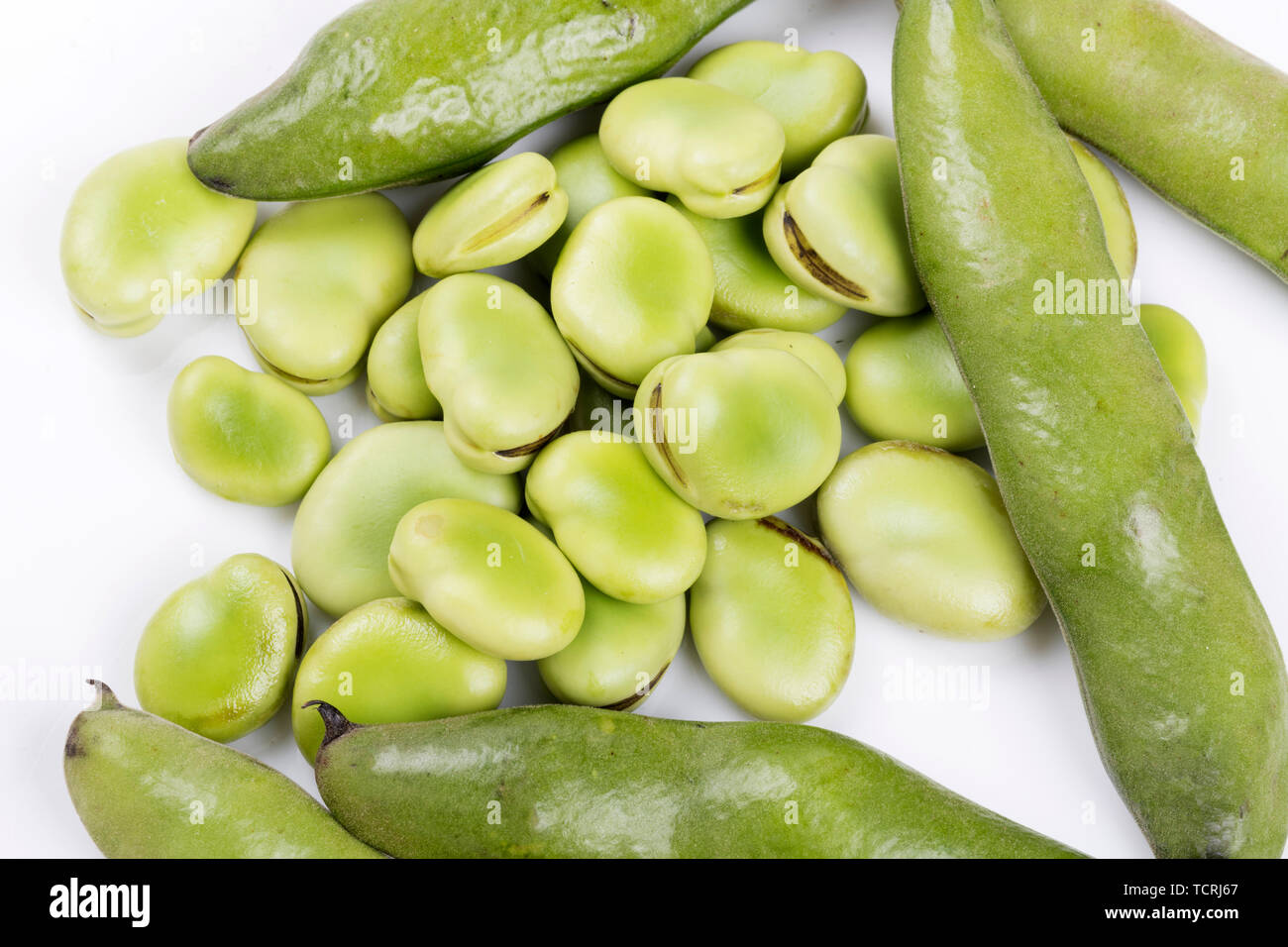 Green broad beans Stock Photo Alamy
