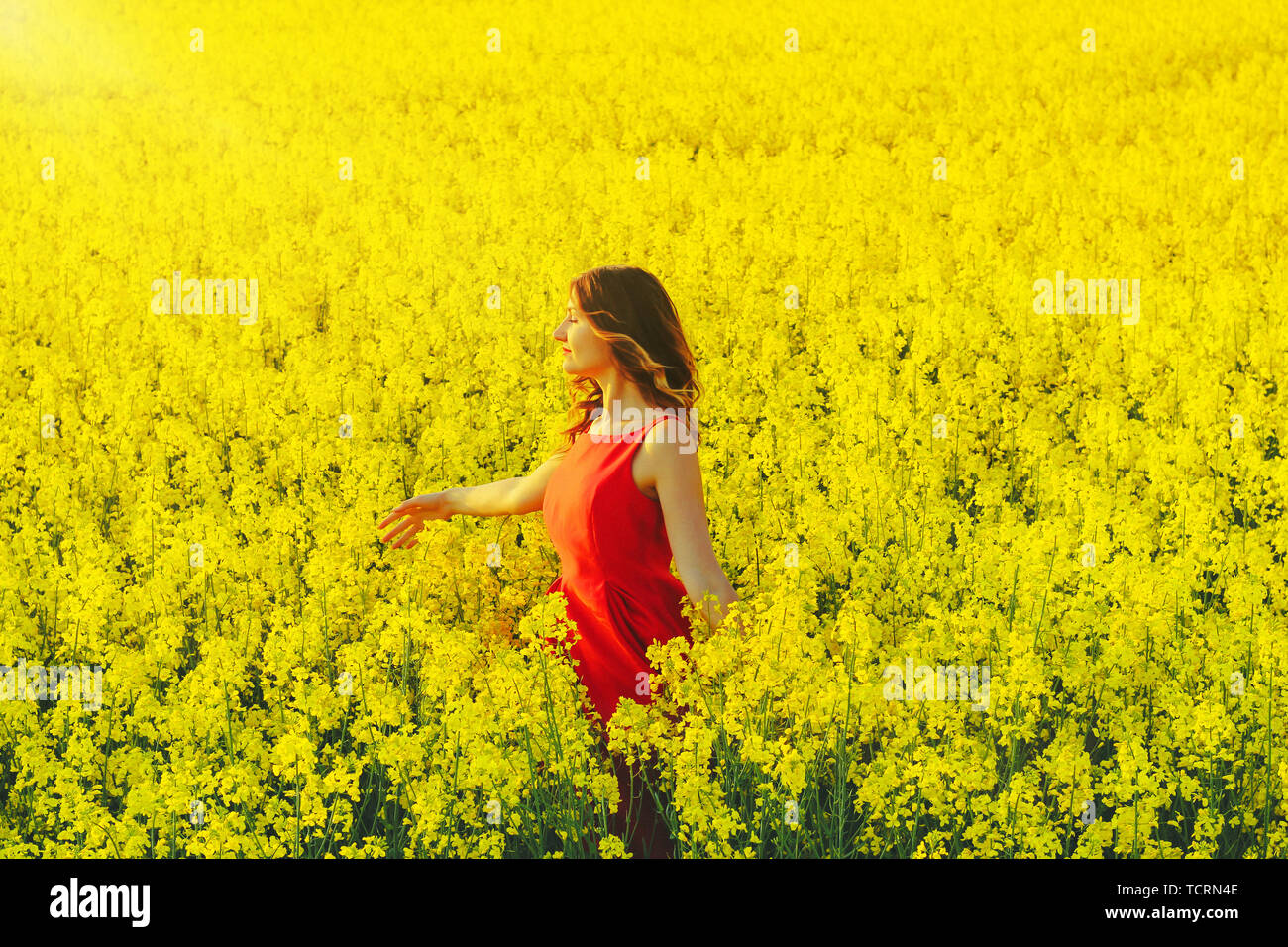 blazer dress dynamite