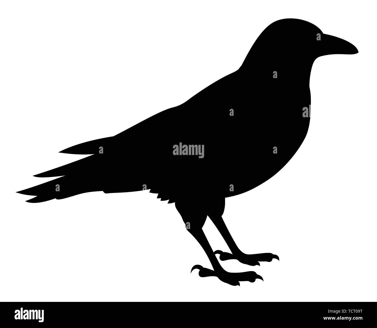 Silhouette of a black raven. Vector black white illustration Stock Vector