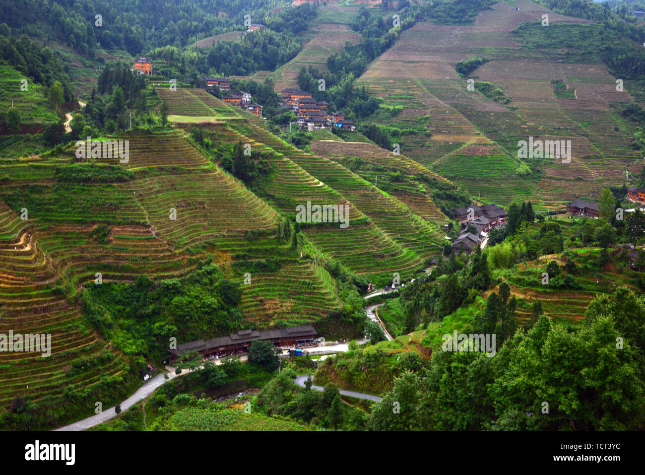 Ridge planting hi-res stock photography and images - Alamy