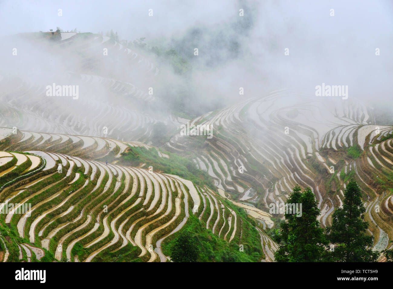 Dragon ridge terrace hi-res stock photography and images - Alamy