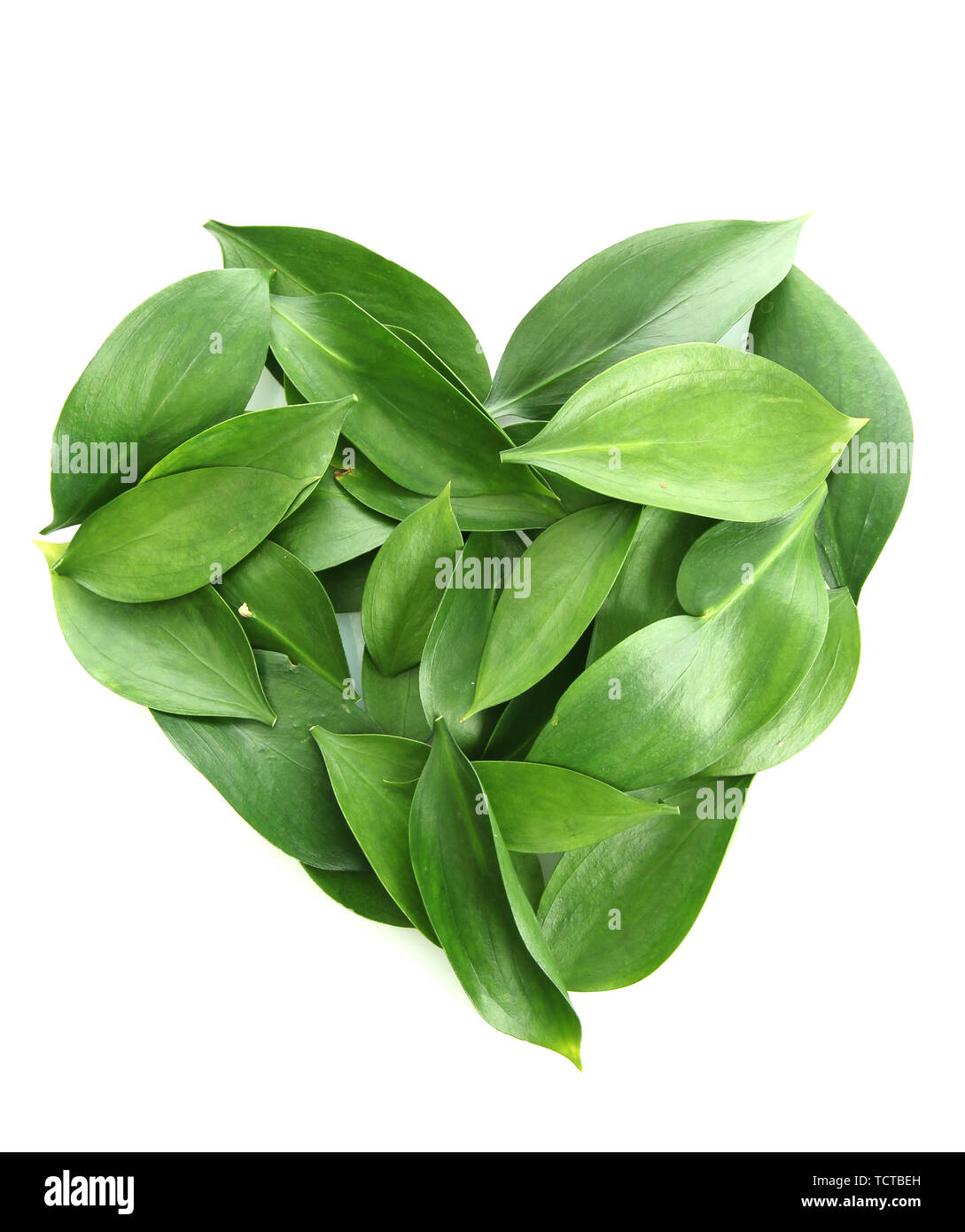 heart of beautiful green leaves, isolated on white Stock Photo - Alamy